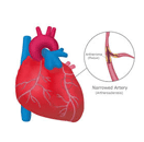 icon-chd-Risk-Calculator